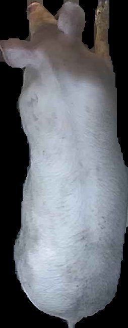 Crop