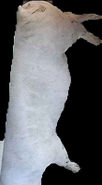 Crop
