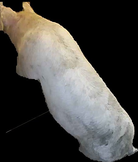 Crop