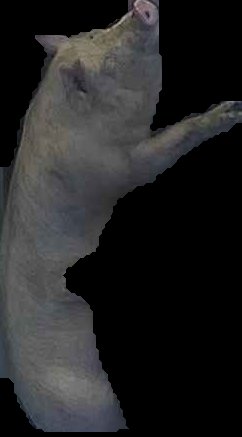Crop