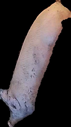 Crop