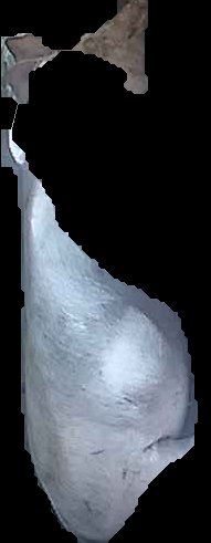 Crop