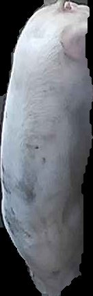 Crop
