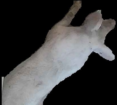 Crop