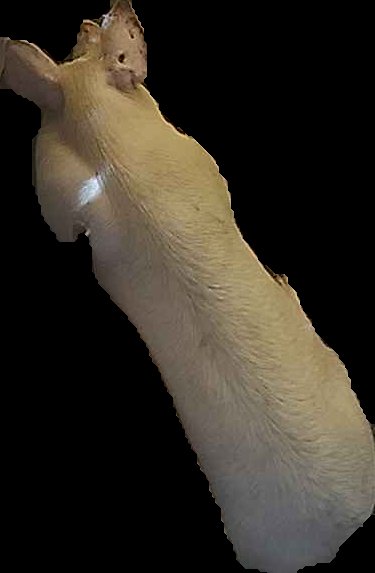 Crop