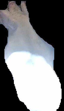 Crop