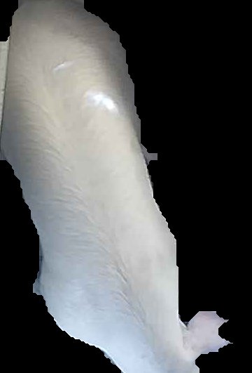 Crop