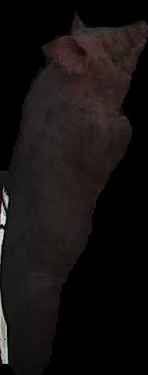 Crop