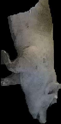 Crop