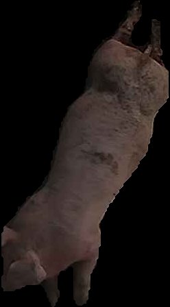 Crop