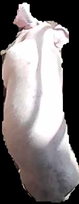 Crop