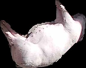 Crop