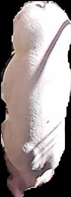 Crop