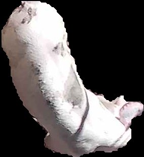 Crop
