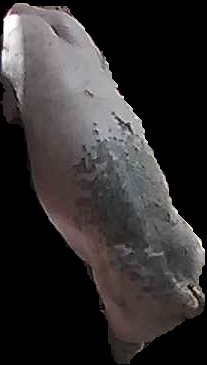 Crop
