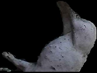 Crop