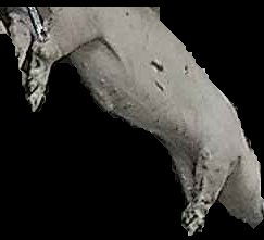 Crop