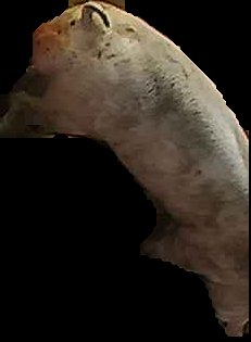 Crop