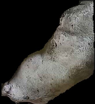 Crop