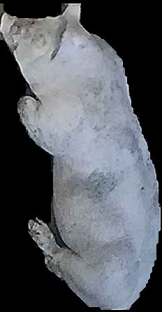 Crop