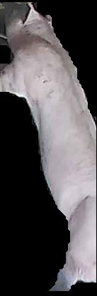Crop