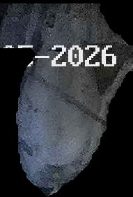 Crop