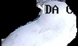 Crop