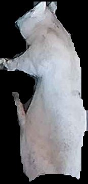 Crop
