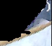 Crop