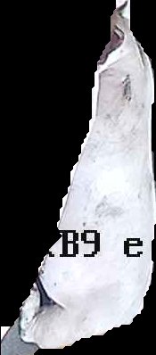 Crop