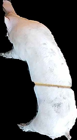 Crop