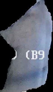 Crop