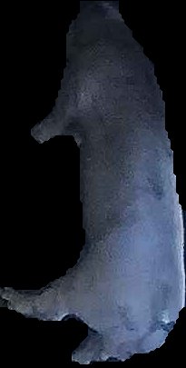 Crop