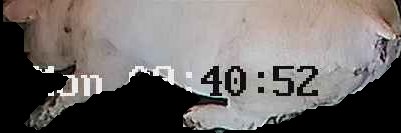 Crop