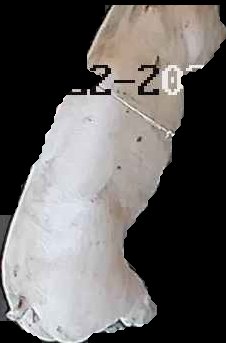 Crop