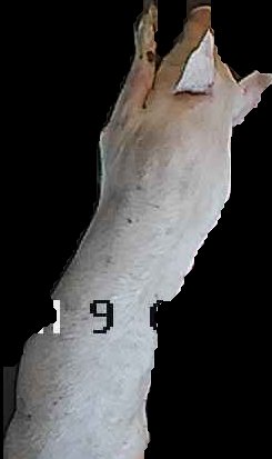 Crop
