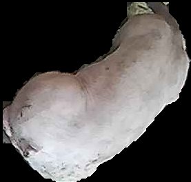 Crop