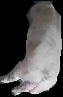 Crop