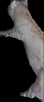 Crop