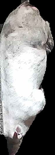 Crop
