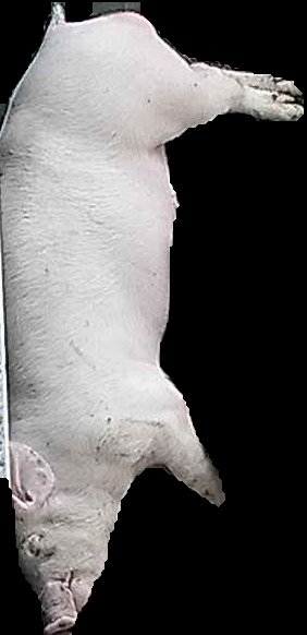 Crop