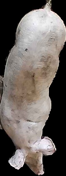 Crop