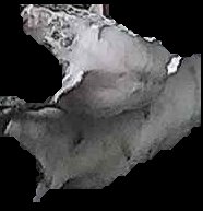 Crop
