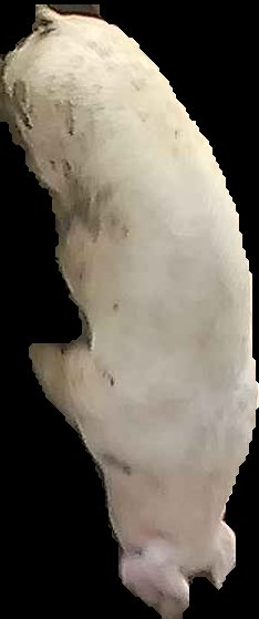 Crop
