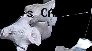 Crop