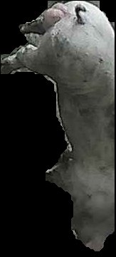 Crop