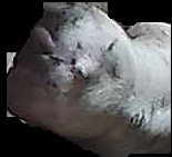 Crop