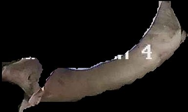 Crop