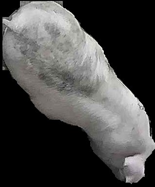 Crop