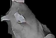 Crop
